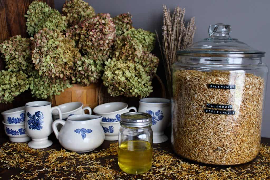 a basket of dried hydrangeas and a vase of dried lavender sit in the background of pfaltzgraff stoneware and calendula infused herb oil. a gigantic glass jar of calendula sits nearby. calendula is scattered all over the wooden countertop