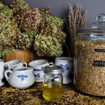 a basket of dried hydrangeas and a vase of dried lavender sit in the background of pfaltzgraff stoneware and calendula infused herb oil. a gigantic glass jar of calendula sits nearby. calendula is scattered all over the wooden countertop