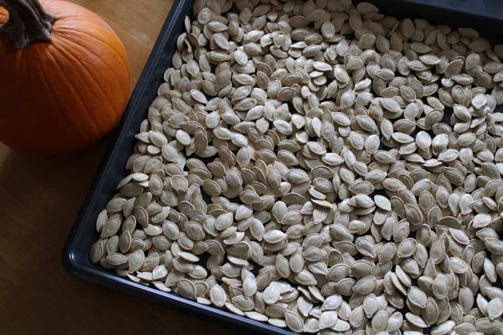there is an even layer of seasoned pumpkin seeds across a baking sheet ready to be baked
