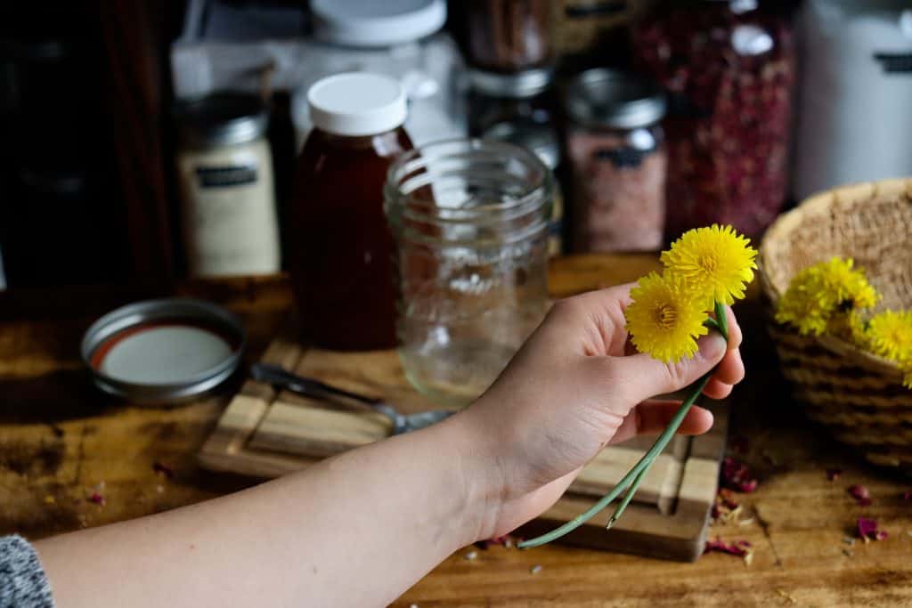 a woman holds out two dandelions in her hand in front of her workspace