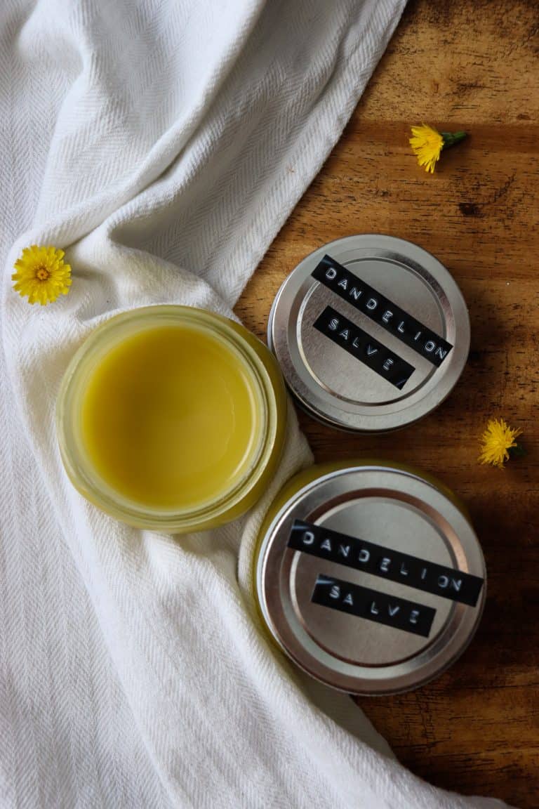 Homemade Dandelion Salve Recipe Tulips and Twill