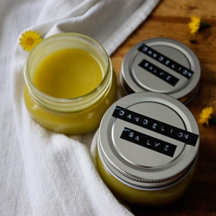 dandelion salve in a glass jar with a label next to flower heads and a white tea towel