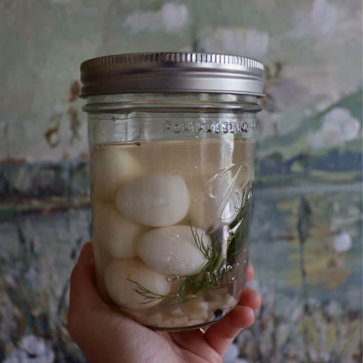 pickled quail eggs in a jar