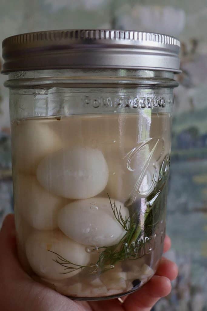 Pickled Quail Eggs Tulips and Twill