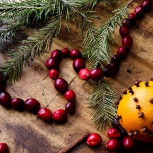 a cranberry garland near an orange pomander and pine branch