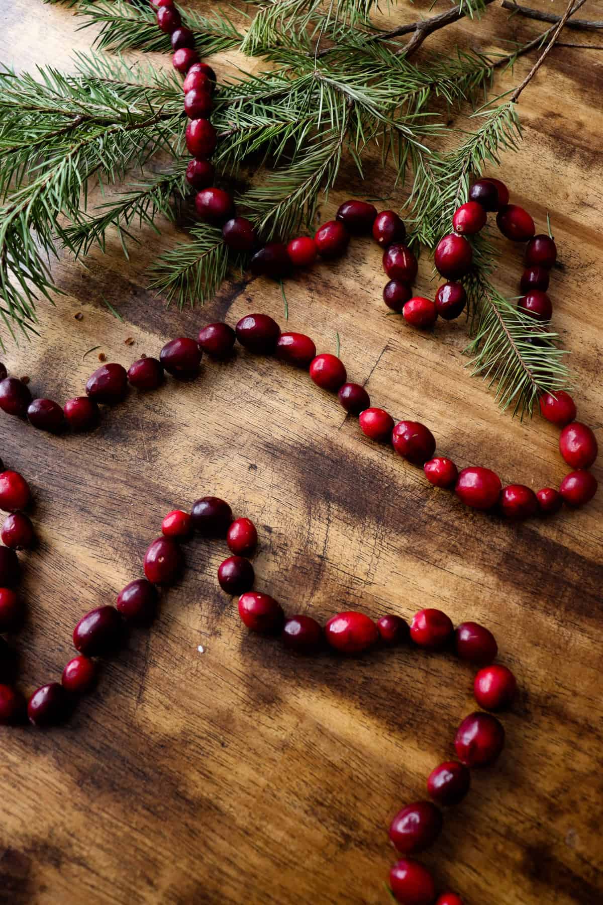 a string of cranberries and a pine branch