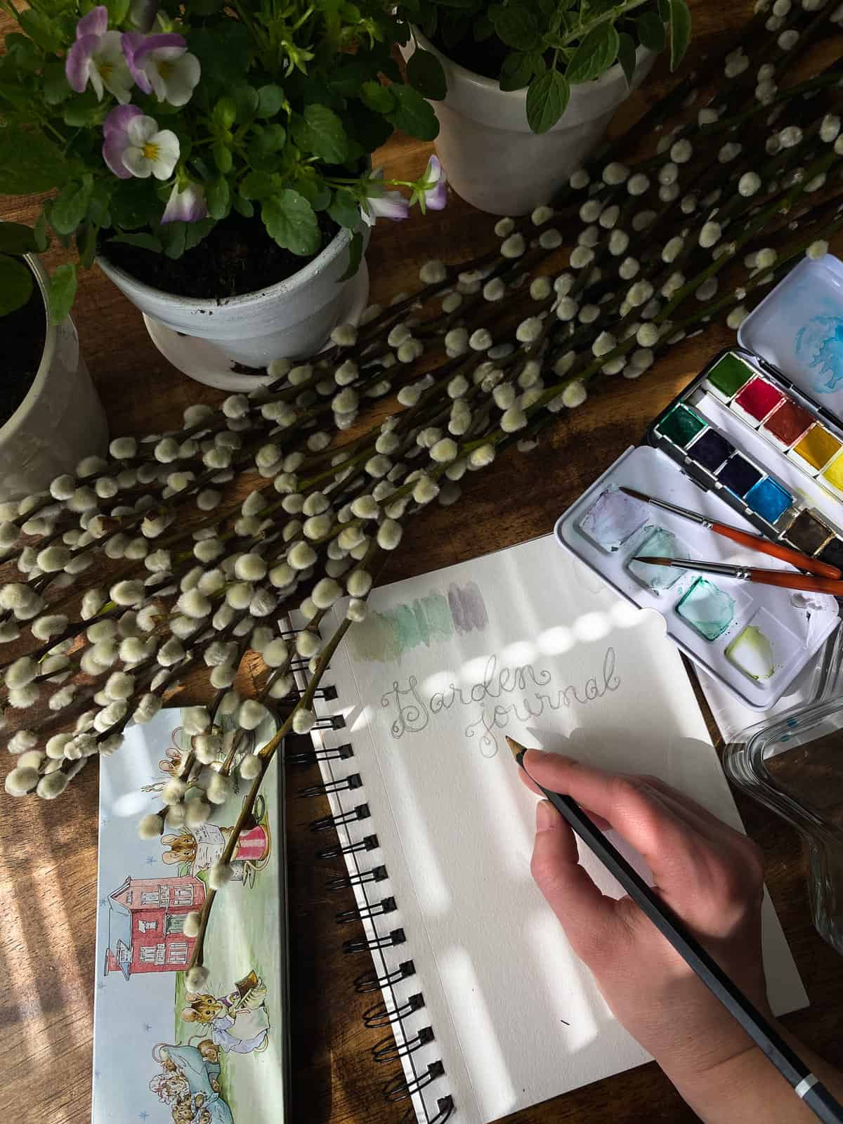 starting a garden journal with pencil and watercolors. theres pussy willow, plants, and art supplies all around
