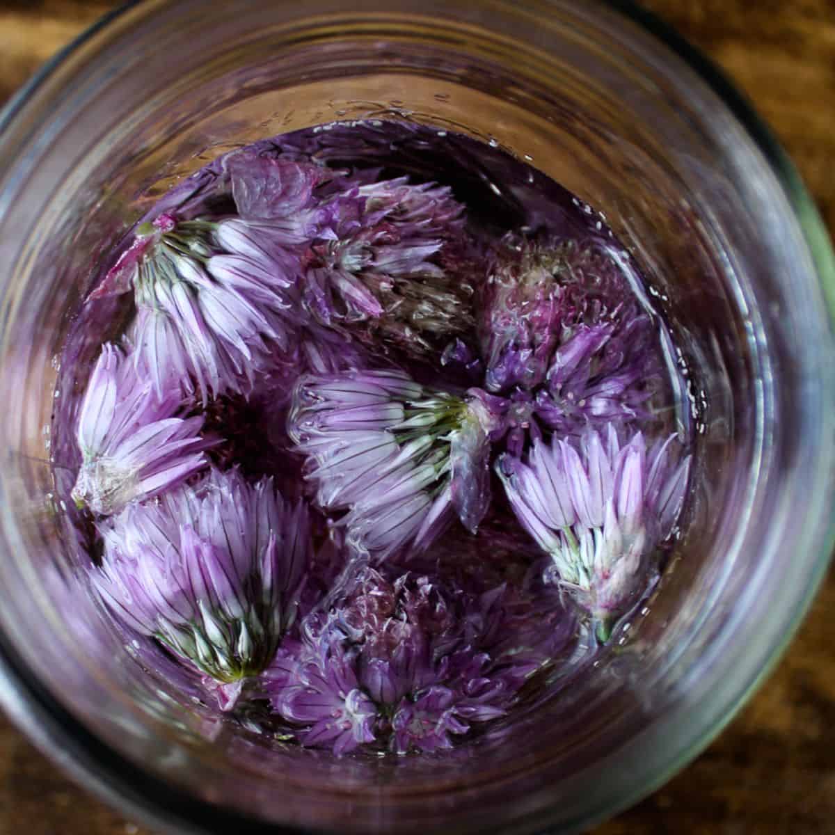 purple chive blossoms in a glass jar covered in white vinegar